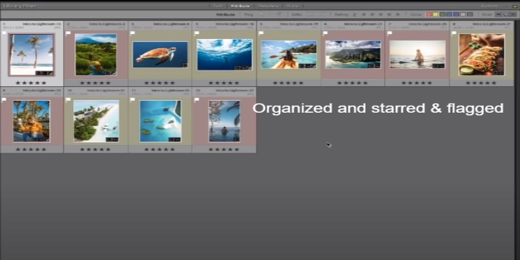 Lightroom Product photography