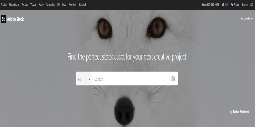 Best Places To Sell Photos Online