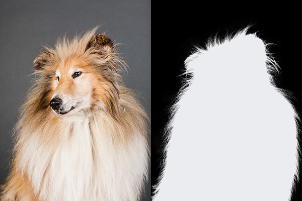 Alpha Masking Image Service