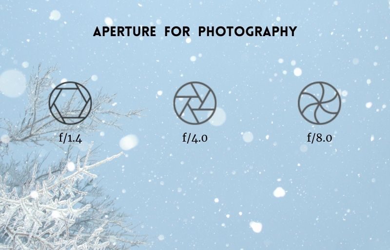 What is Aperture in Photography? Understand It With Ease