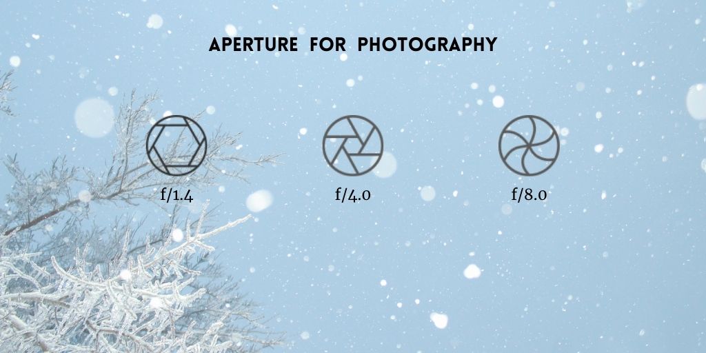 What is Aperture in Photography? Understand It With Ease
