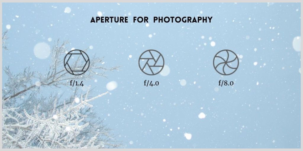 Aperture in Photography