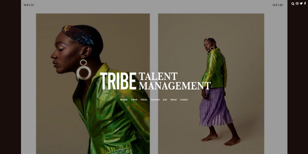 Tribe Talent Management