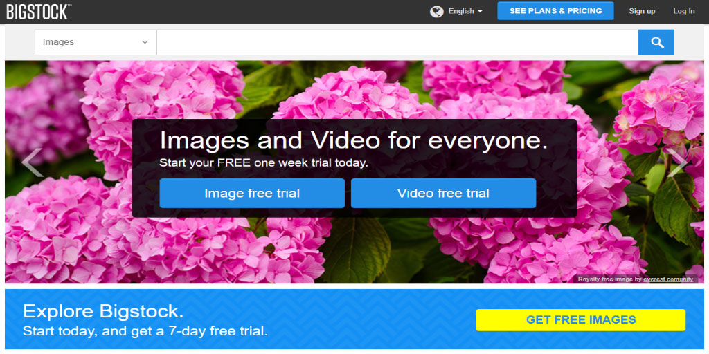 Best Places To Sell Photos Online