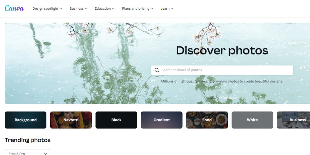 Canva Photos for selling photos