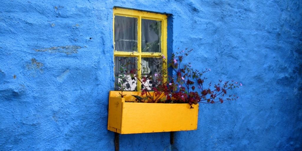 Color Theory In Photography