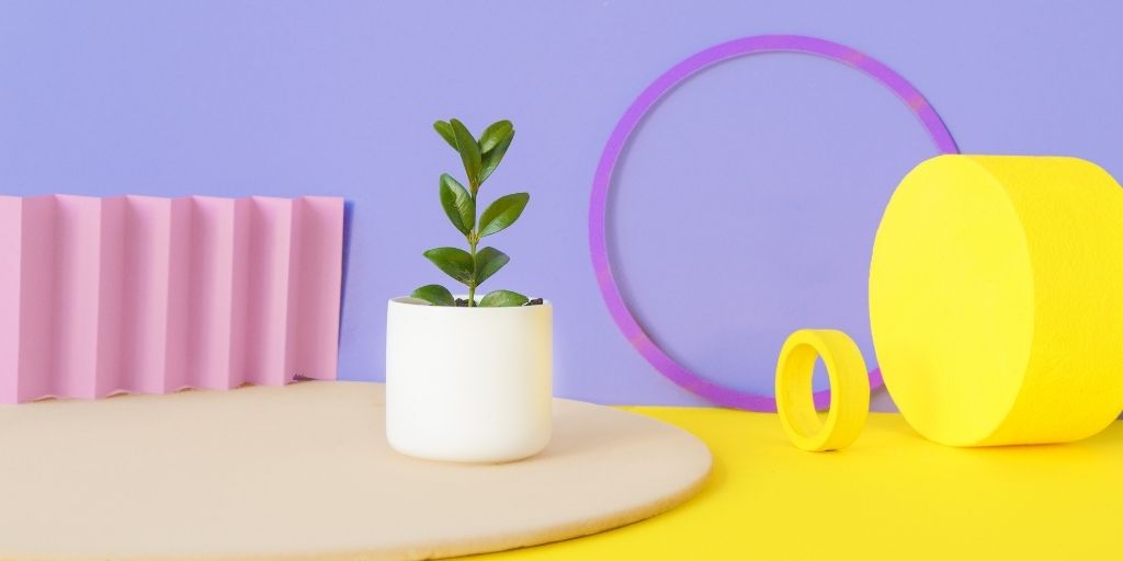 DIY Photo Studio At Home On A Budget