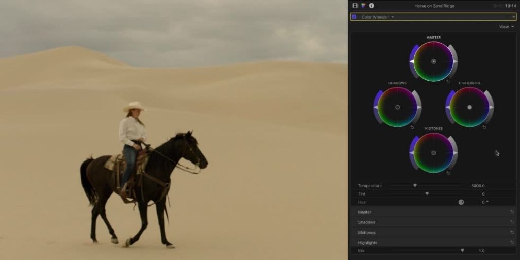 Final Cut Pro X color wheel in presentation
