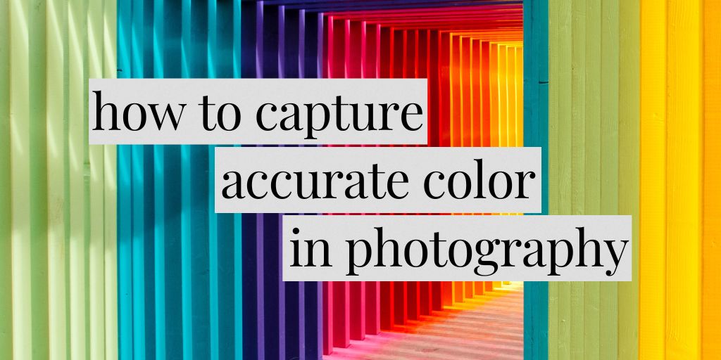 How To Capture Accurate Colors In Photography?