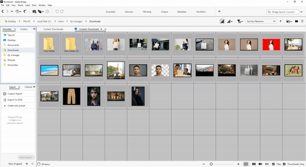 Adobe Bridge Interface