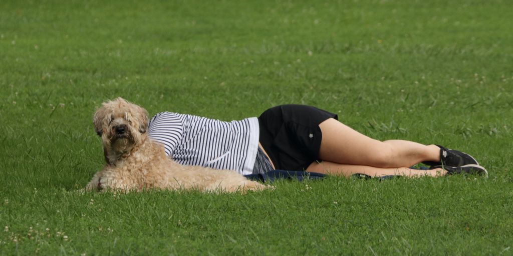 Juxtaposition photography examples - face of dog body of a human