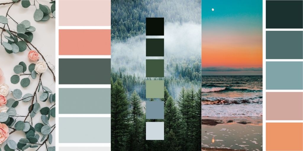 color trends