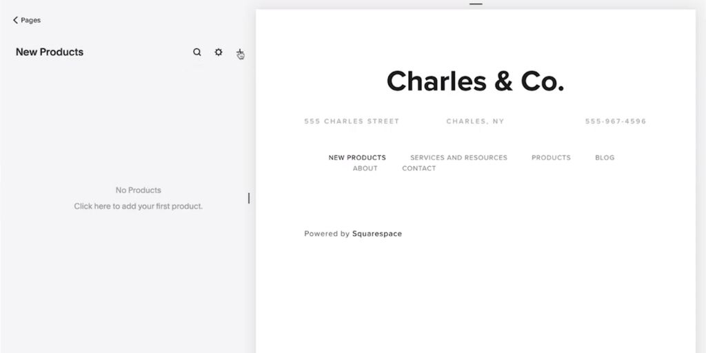 Start an Online Store with Squarespace Shop