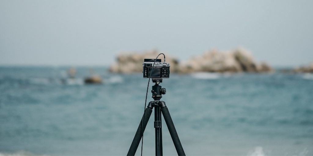 Stock Photography Stock Photography