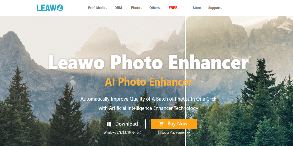 AI Photo Editing Tools