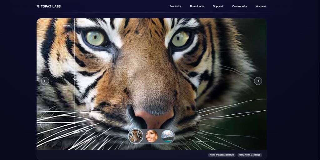 Topaz Labs- Photo editing tool