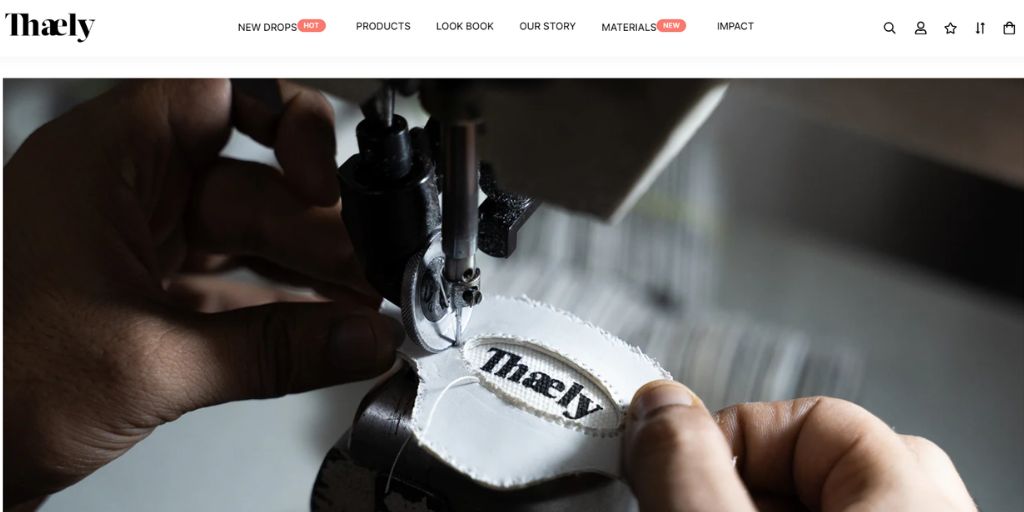 Understand Brands Vision | Example Thaely