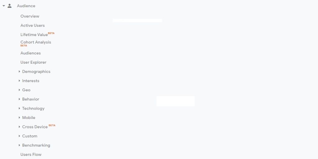 analytics audience