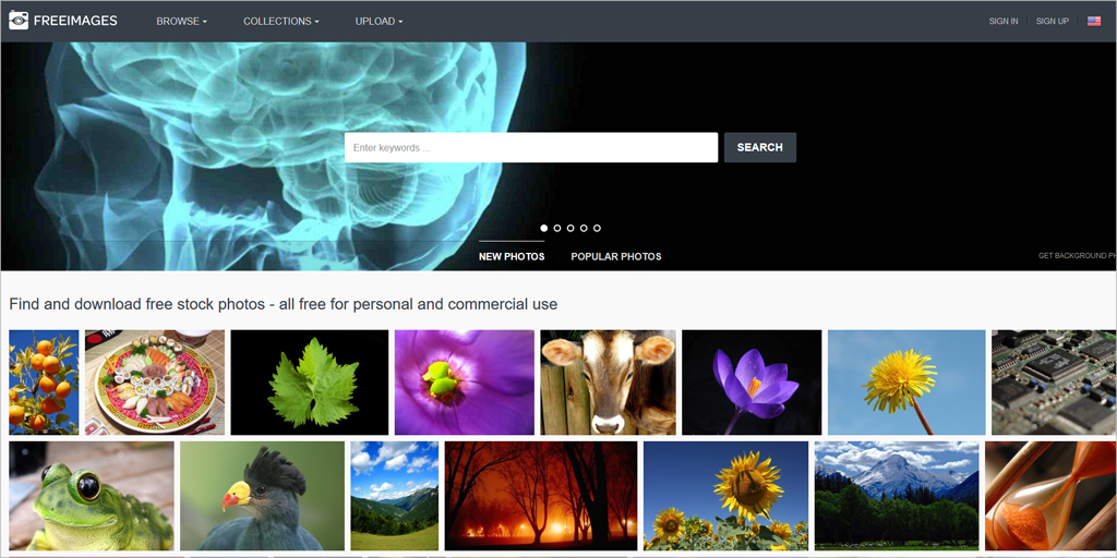 fre stock photos website - freeimages