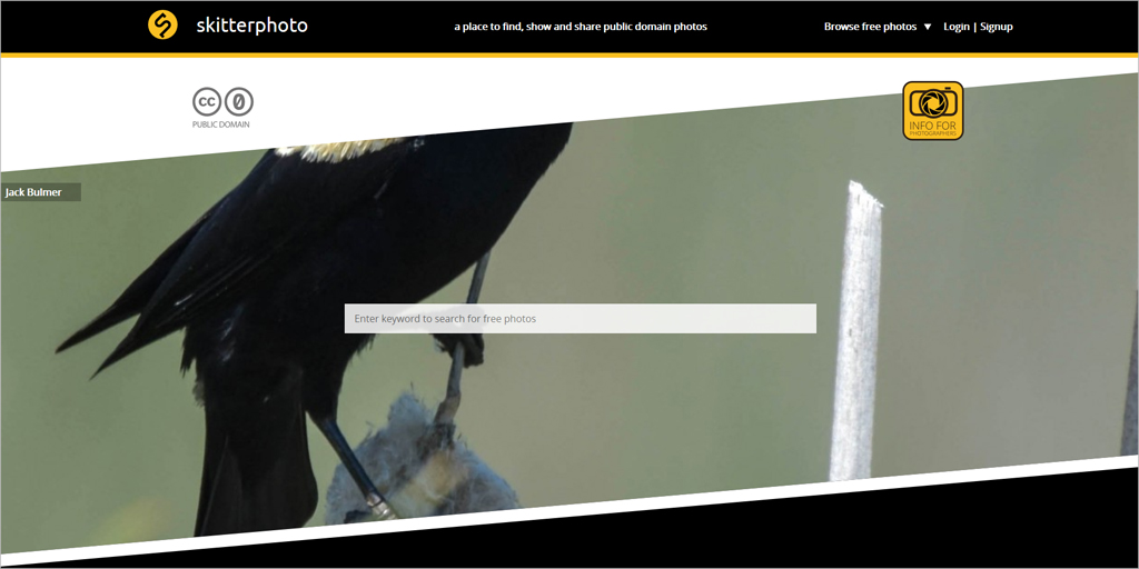 free stock pictures website - skitterphoto