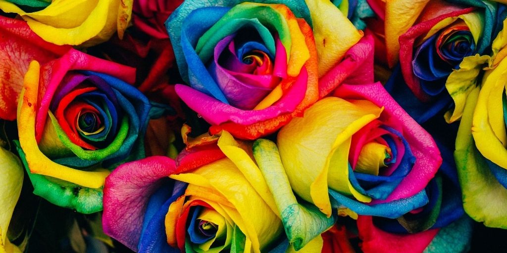 color theory