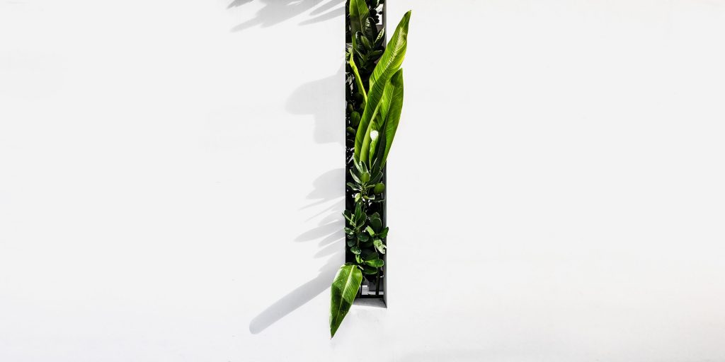 Importance of shadows in product images