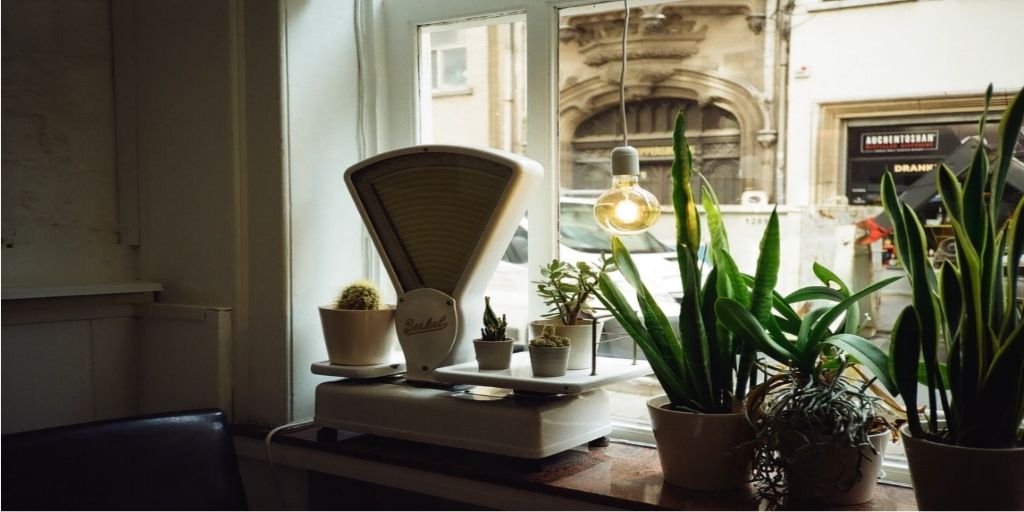 Indoor Photography