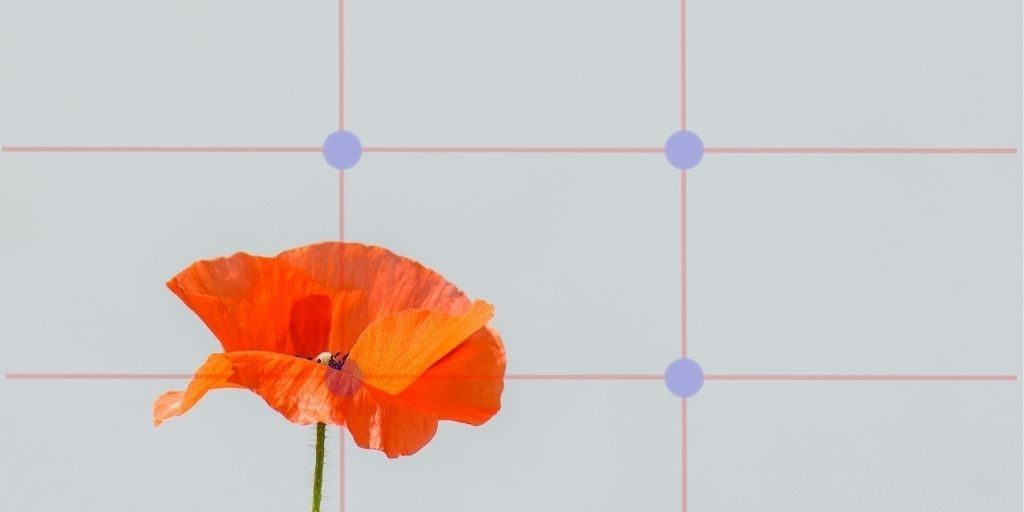 Rule Of Thirds
