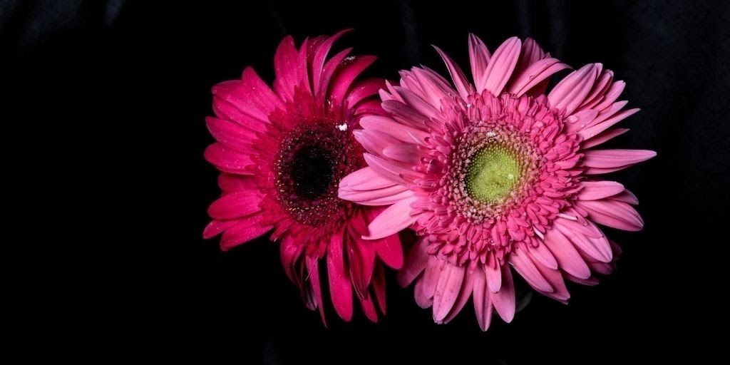 Best Flash Photography Tips